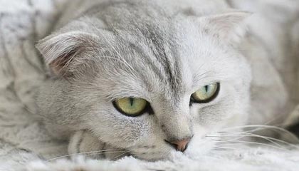 爱游互娱游戏官网-鲁尔区德比迎来高能比赛，鲁尔区德比体育市场化